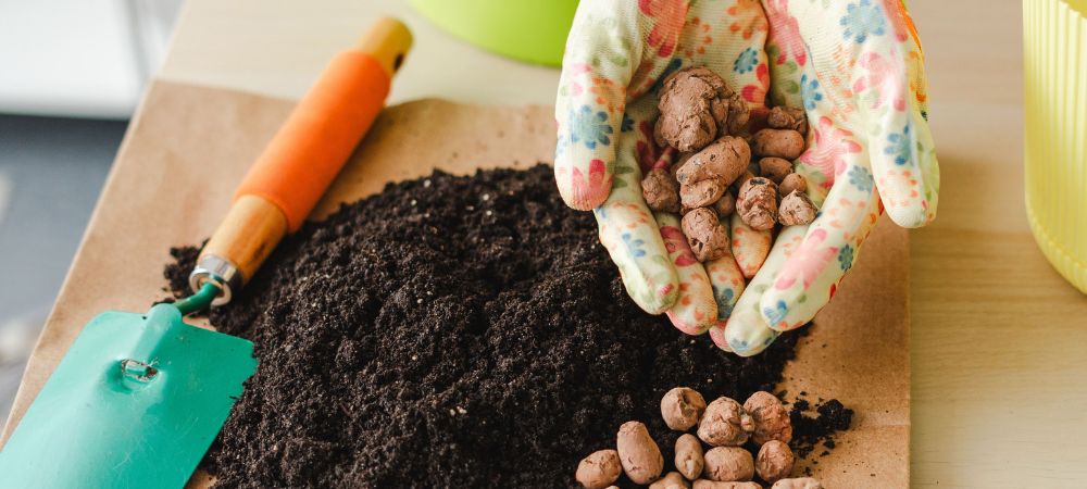 À quoi servent les billes d'argile expansée pour vos plantes À quoi servent les billes d'argile expansée pour vos plantes