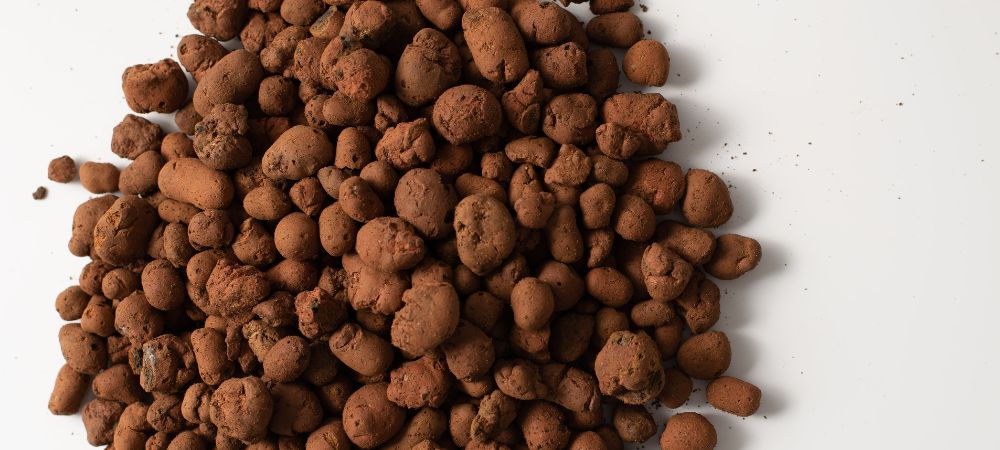 Arcilla expandida: para qué sirve y cómo utilizarla Billes d'argile pour le substrat