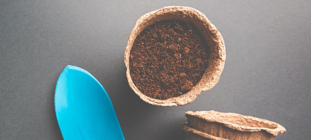 fibre de coco et terreau