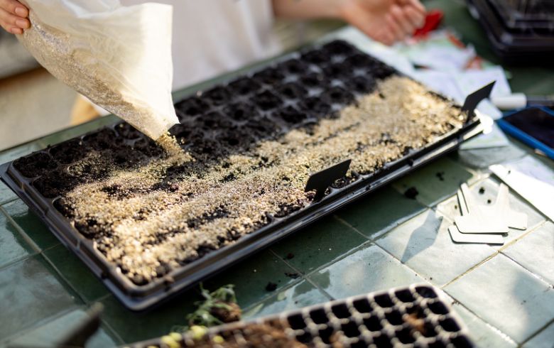 Actualités sur le cannabis