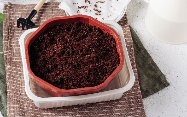 Actualités sur le cannabis