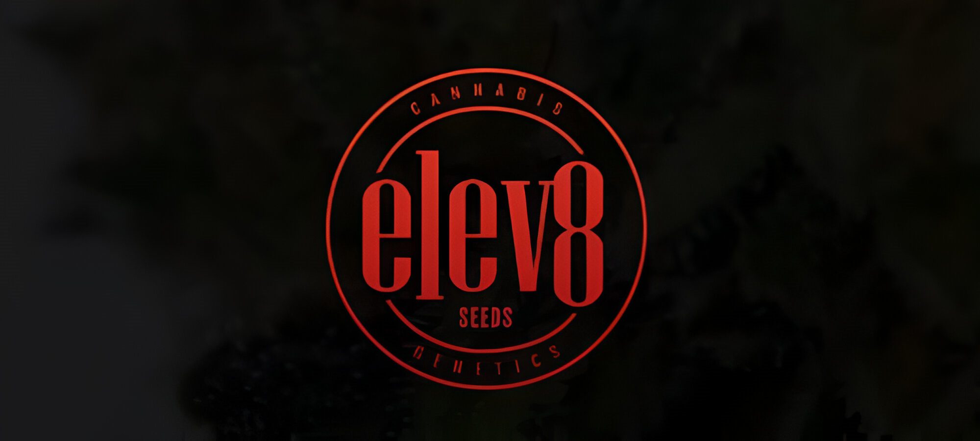 Elev8 Seeds