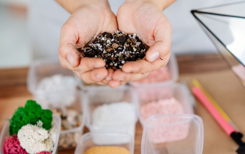 Actualités sur le cannabis