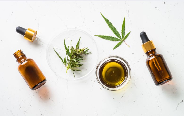 Actualités sur le cannabis