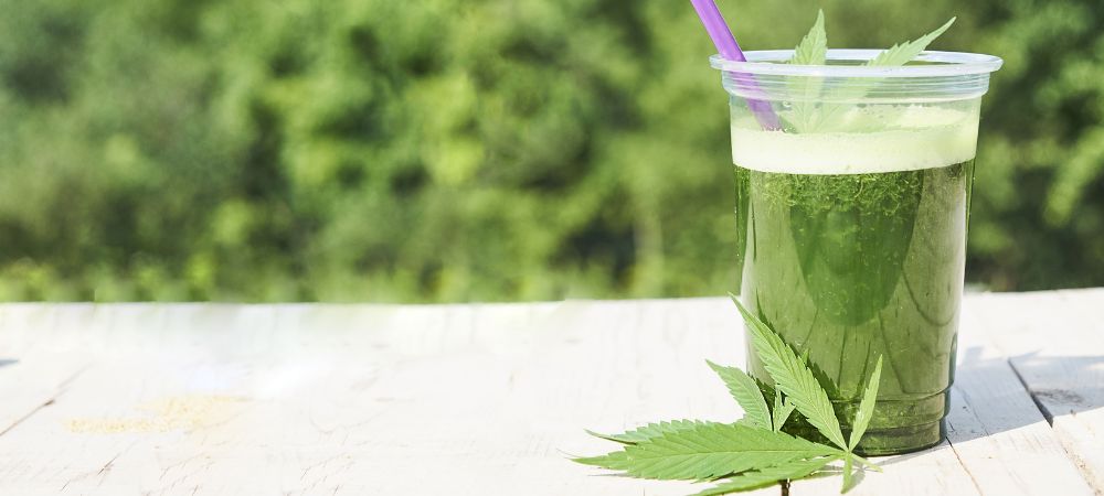 Jus de cannabis au CBDA Jus de cannabis au CBDA