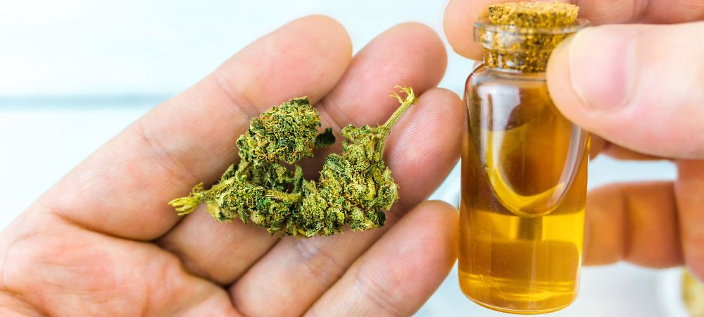 À quoi sert le CBD ? Toutes les applications À quoi sert le CBD ? Toutes les applications