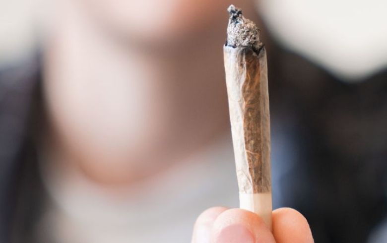 Actualités sur le cannabis