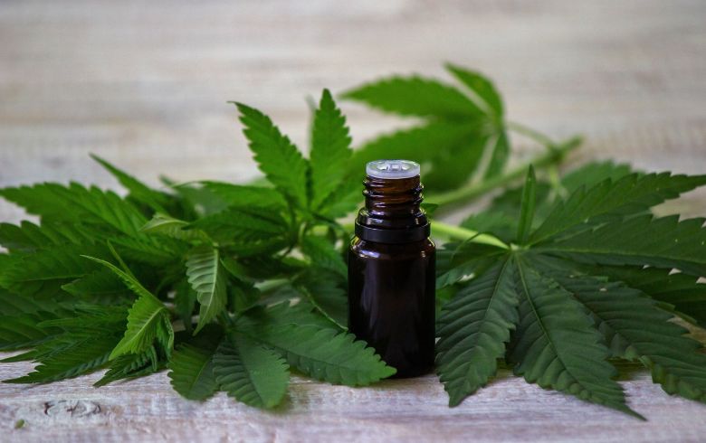 Actualités sur le cannabis