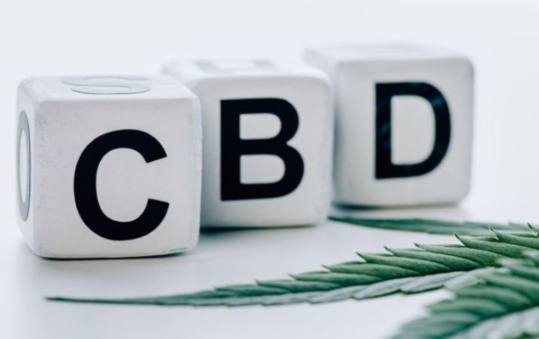 Actualités sur le cannabis