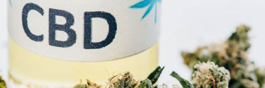 Actualités sur le cannabis