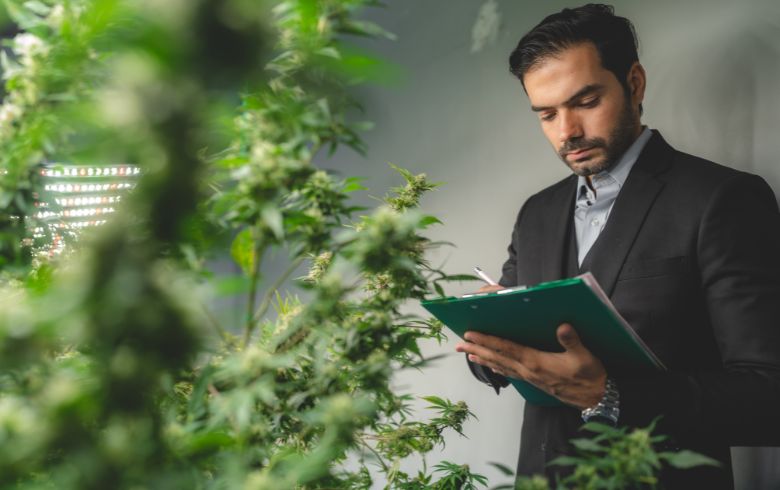 Actualités sur le cannabis