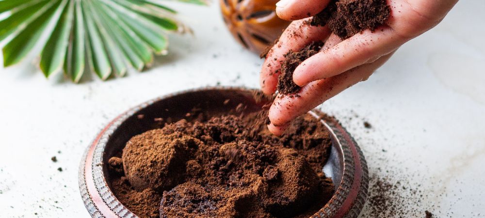 Engrais de marc de café