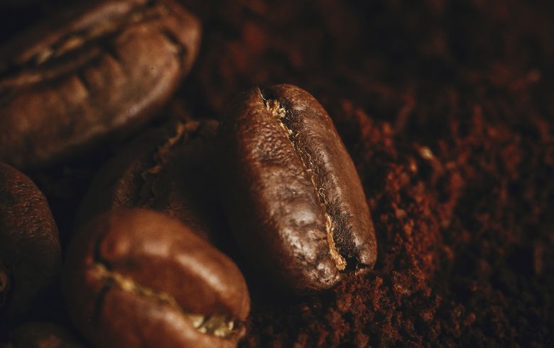 Actualités sur le cannabis