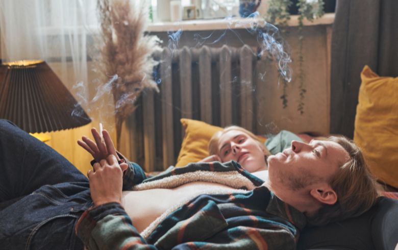 Actualités sur le cannabis