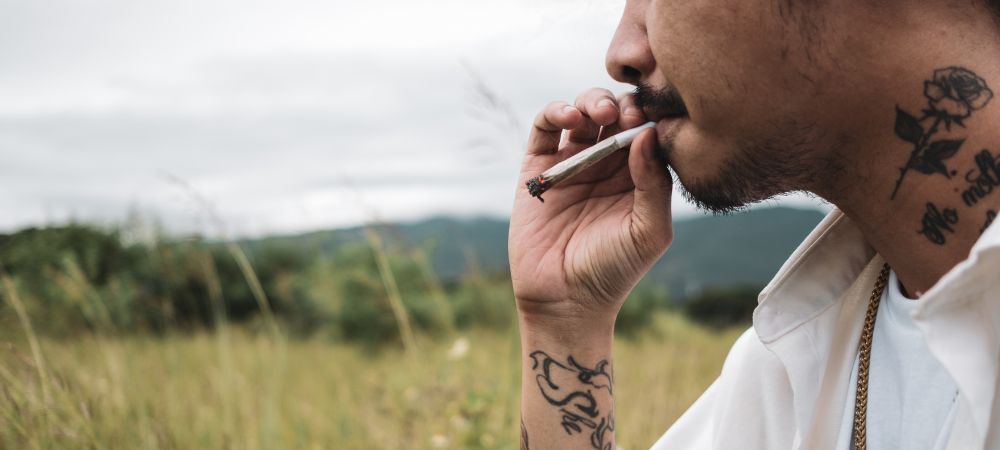 Bad trip et cannabis : causes principales Bad trip et cannabis : causes principales