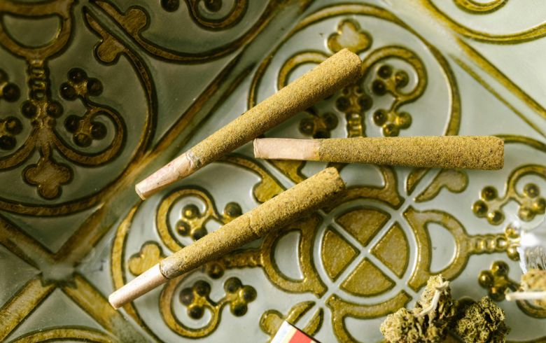 Actualités sur le cannabis