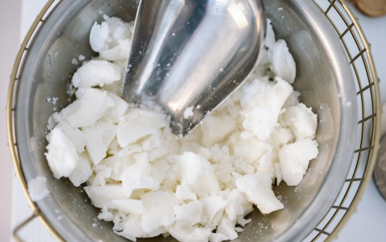 Actualités sur le cannabis