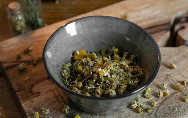 Actualités sur le cannabis