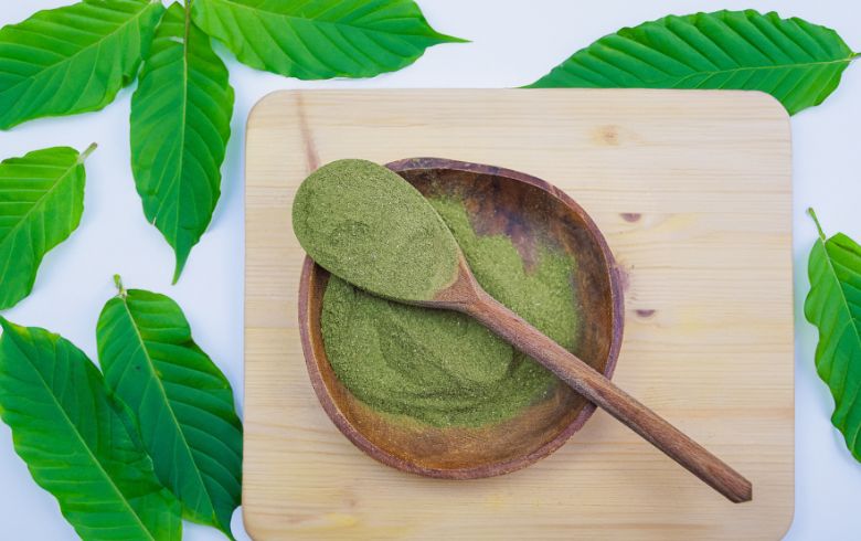 Actualités sur le cannabis