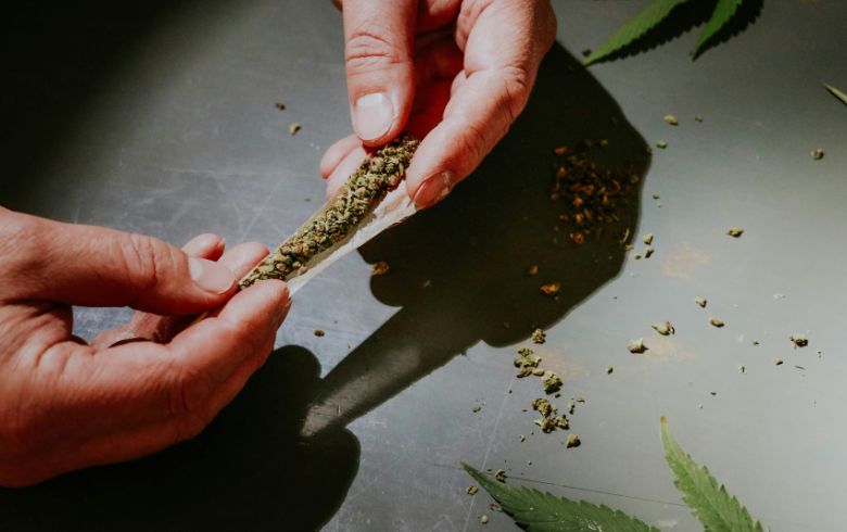 Actualités sur le cannabis