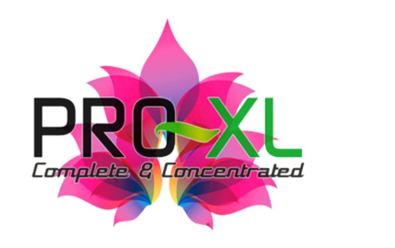 Actualités sur le cannabis