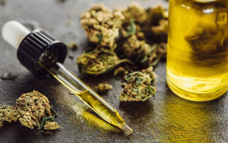 Actualités sur le cannabis