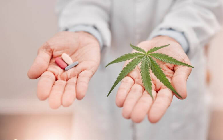 Cannabis thérapeutique