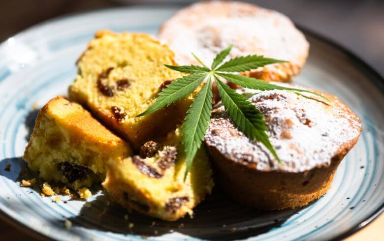 Actualités sur le cannabis