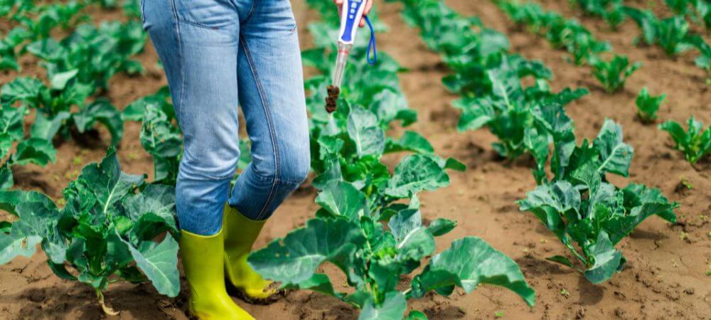 pH-mètre pour jardinage