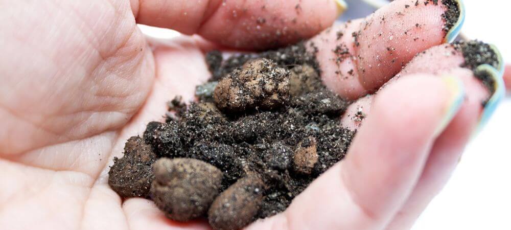 Bien tester et baisser le pH de la terre