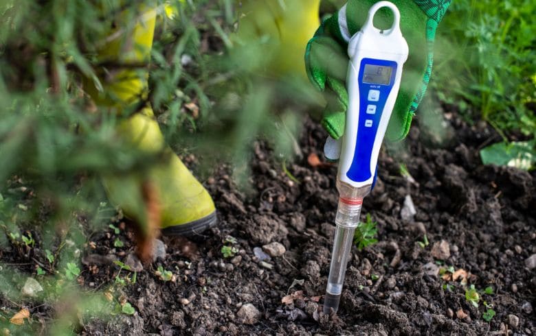 Actualités sur le cannabis