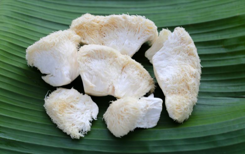 Actualités sur le cannabis