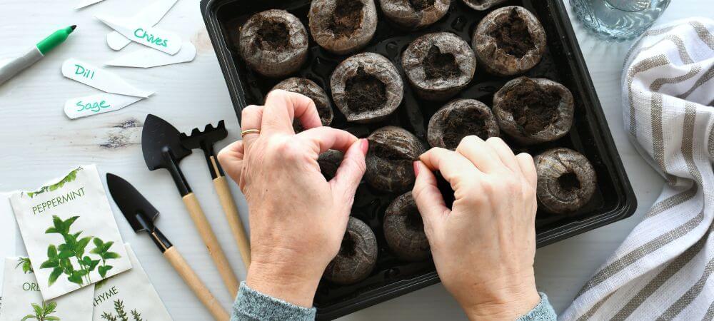 Tourbe et substrat pour graines de cannabis