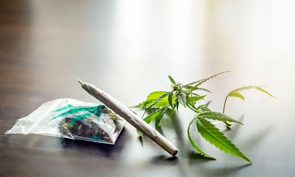 Herbe à fumer contenant du Spice