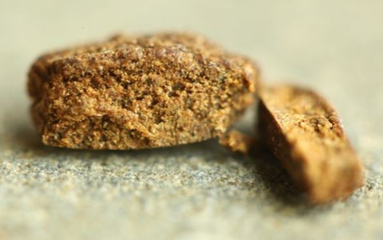 Actualités sur le cannabis