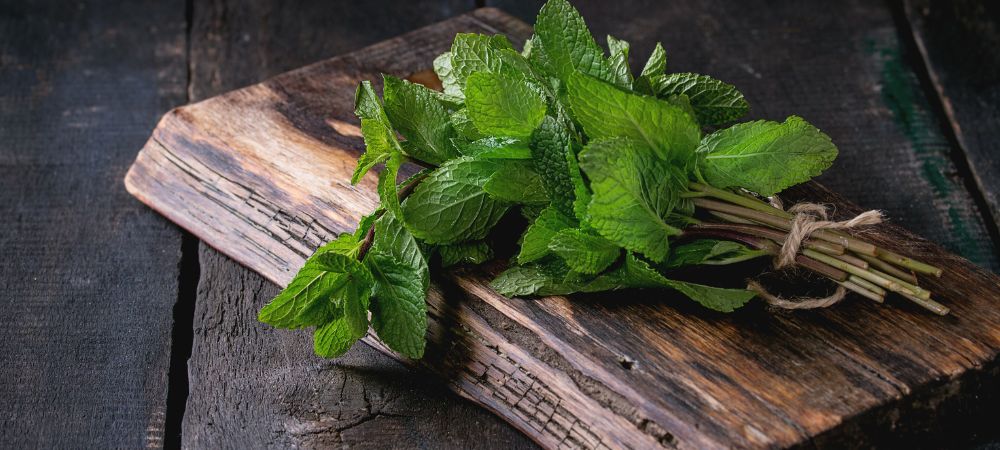 Aliments riches en terpènes