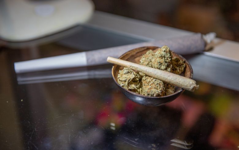 Actualités sur le cannabis