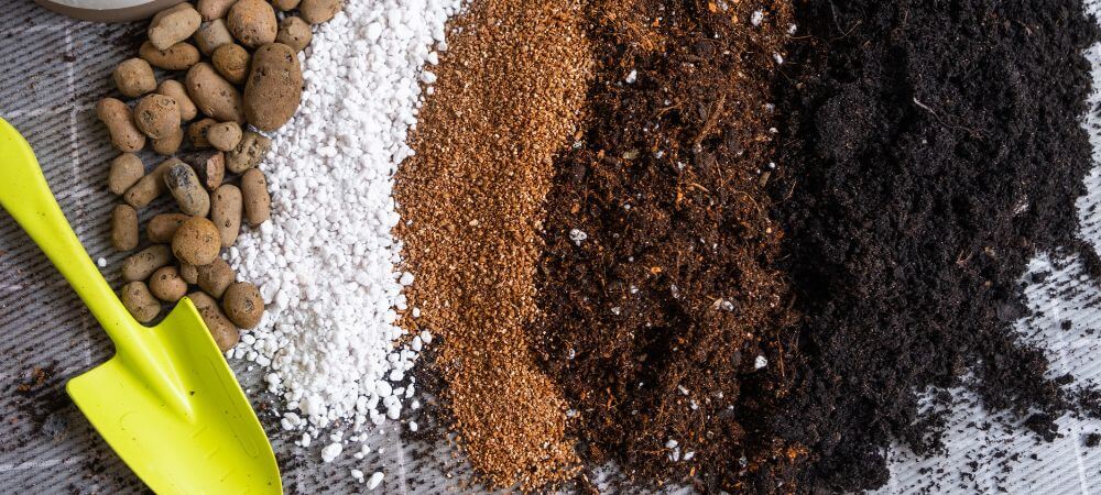 utilisation de la tourbe