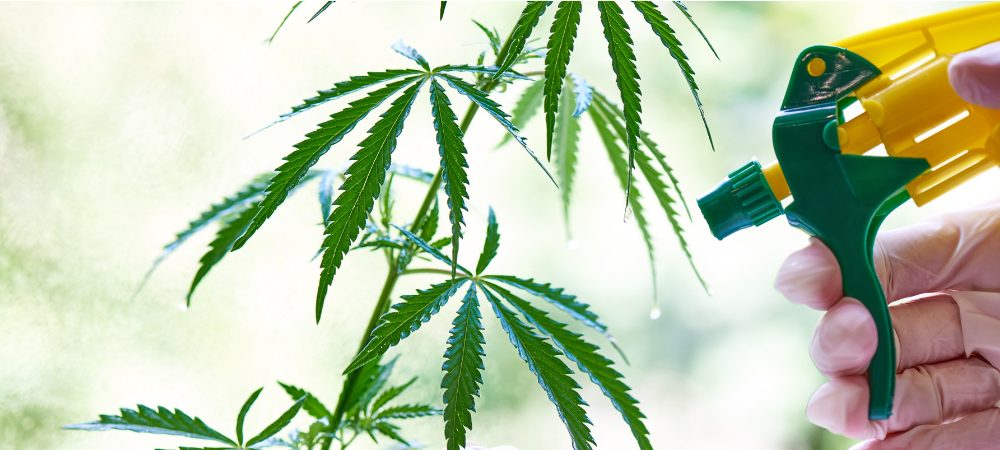 Engrais General Hydroponics