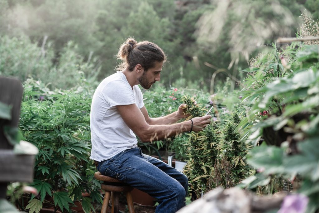 Cultiver en extérieur