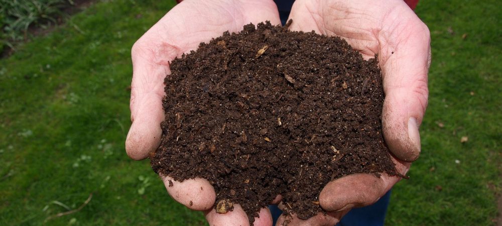 substrat pour plantes dans des mains