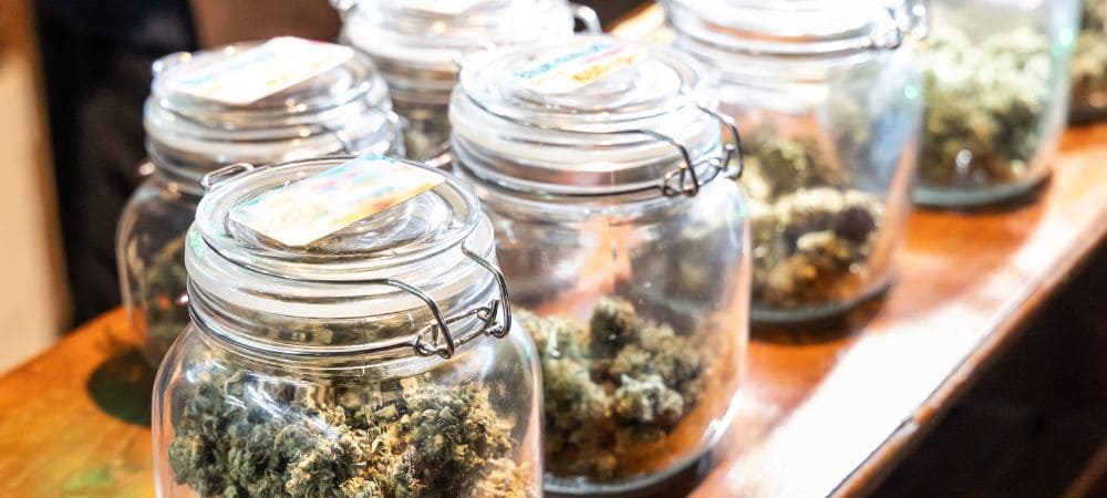 Marijuana californienne