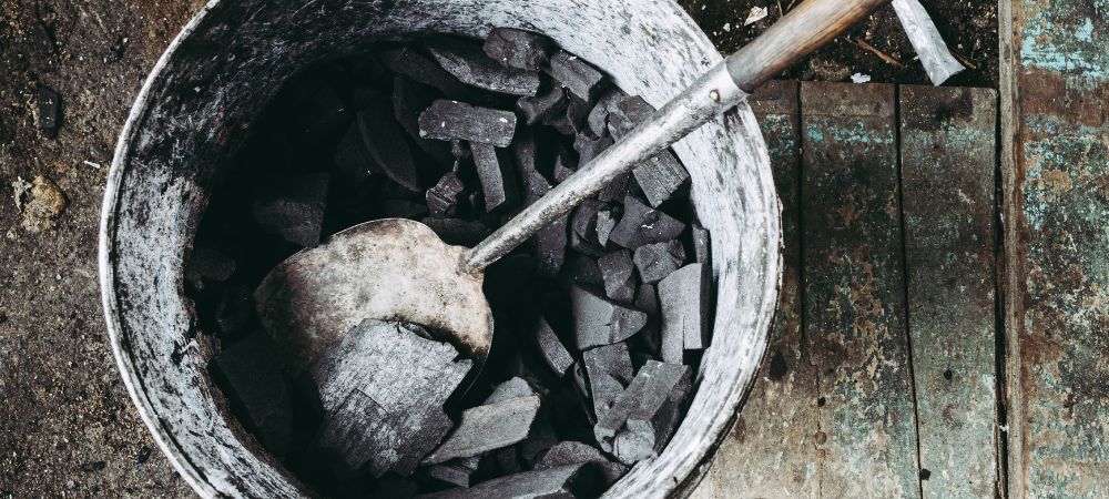 Cendre de charbon pour les plantes