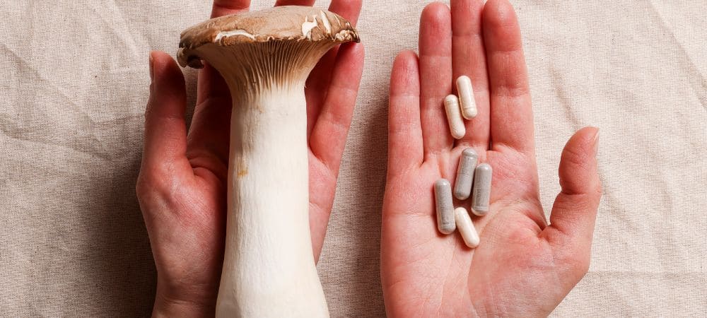 Protocoles de microdosage de champignon