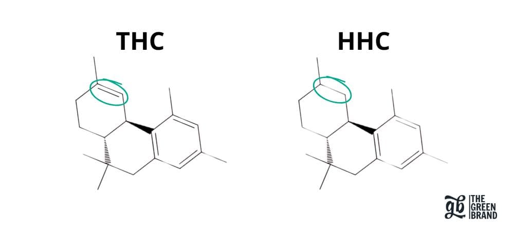 Différences de structure moléculaire entre HHC et THC