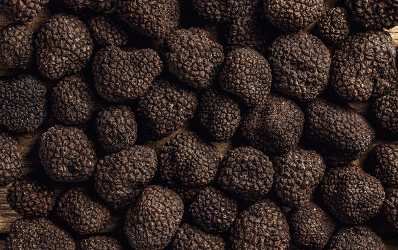 Actualités sur le cannabis