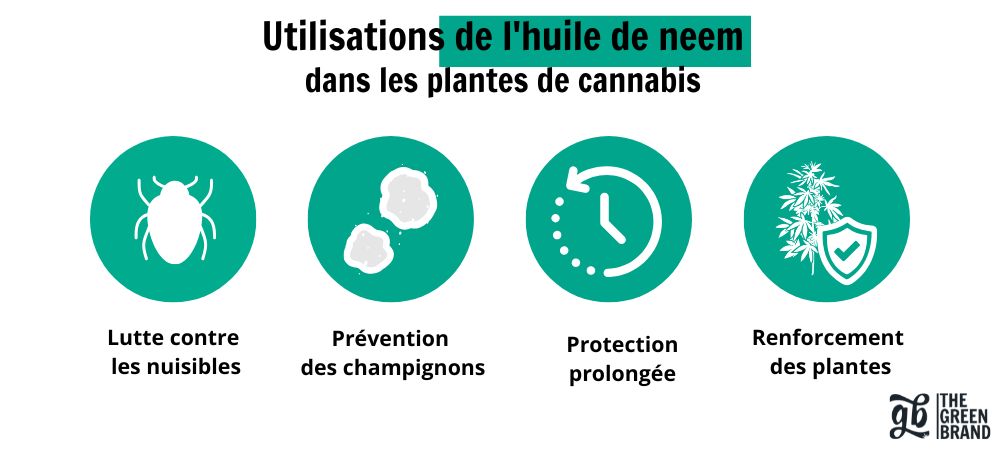 utilisations huile de neem