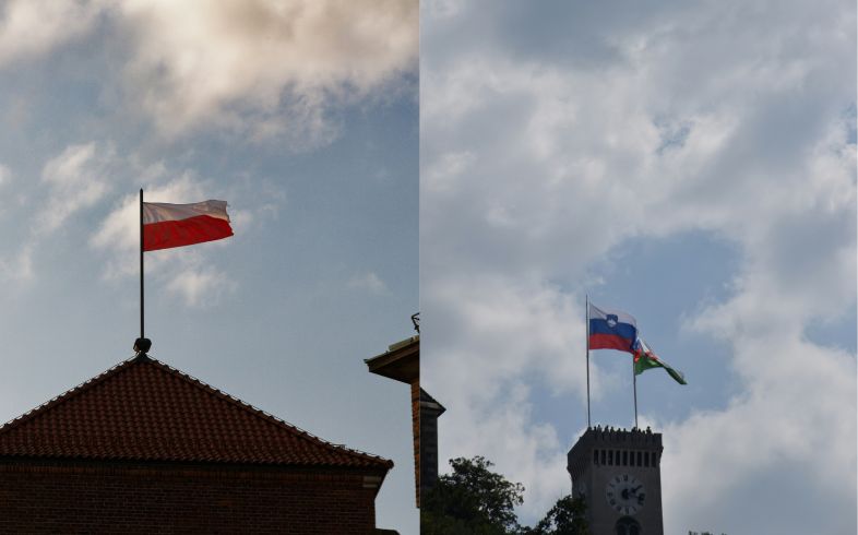 Actualités sur le cannabis