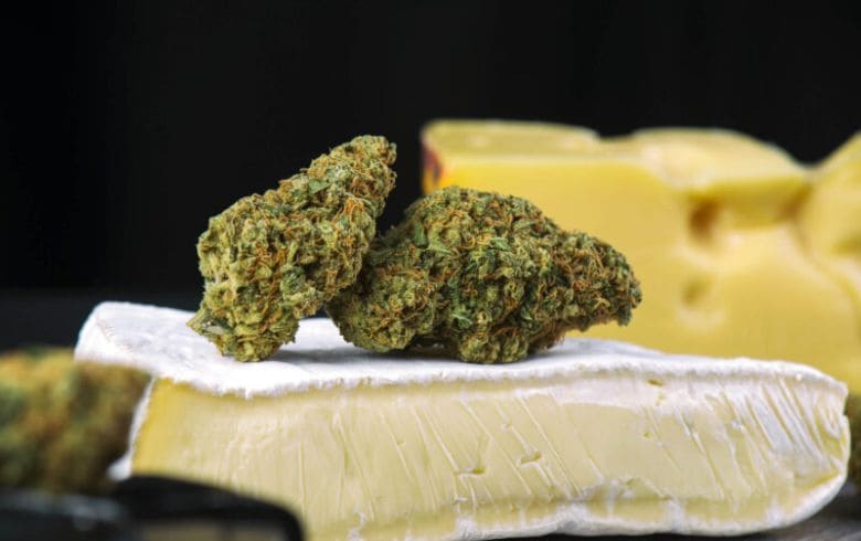 Actualités sur le cannabis