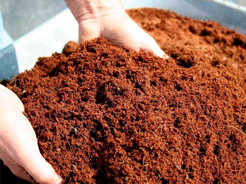 Substrat naturel de fibre de coco pour la culture de cannabis intérieur, de couleur marron, facilitant le drainage